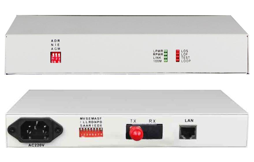 光貓是什么？